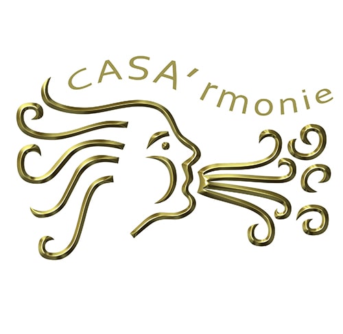 L'orchestre Casa'rmonie recherche deux bassons pour la rentrée 2018-2019.